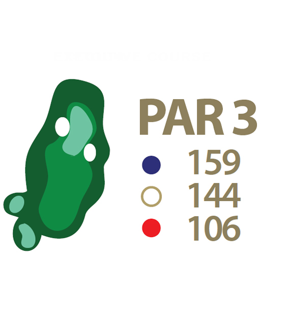 Mapa esquemático del hoyo 4 perteneciente al campo de 18 hoyos de La Romana Golf Club