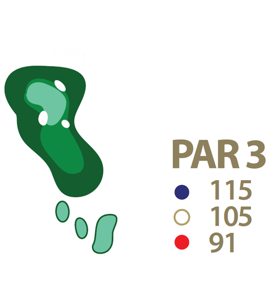 Mapa esquemático del hoyo 6 perteneciente al campo de 18 hoyos de La Romana Golf Club