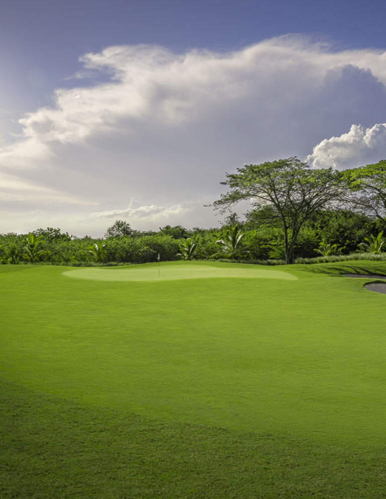 Hole 13 - 18 hole course in Riviera Maya Golf Club