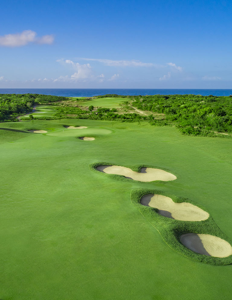 Hole 14 - 18 hole course in Riviera Maya Golf Club