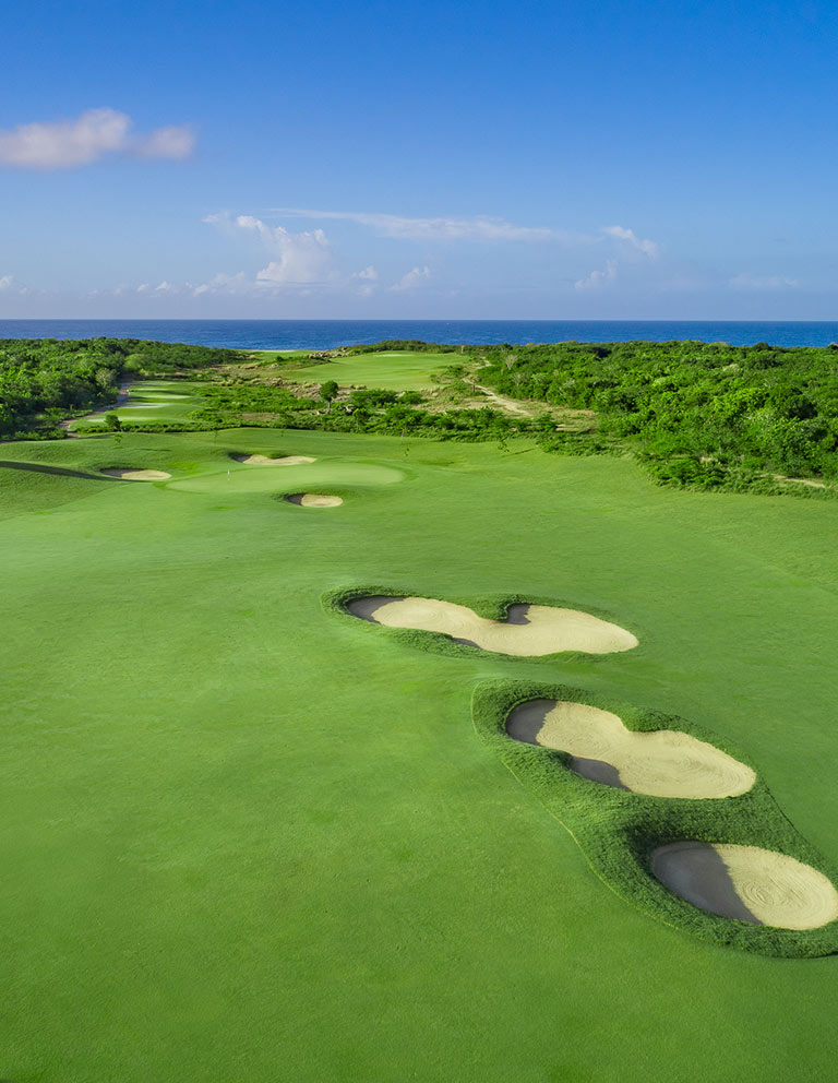 Imágenes del hoyo 14 para el campo de 18 hoyos de Golf La Romana