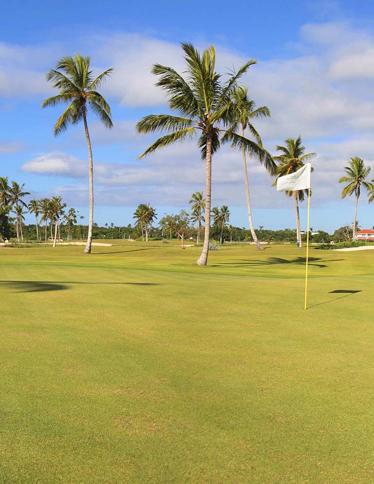 Imágenes del hoyo 1 para el campo de 9 hoyos de Golf La Romana