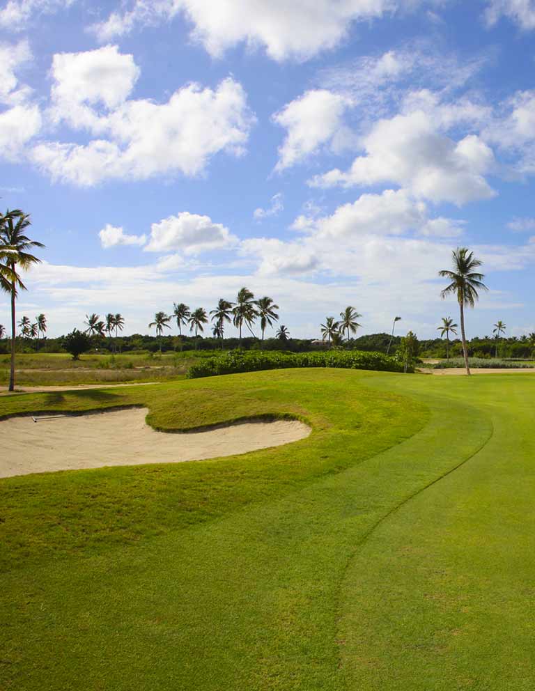 Hole 5 - 9 hole course in Riviera Maya Golf Club