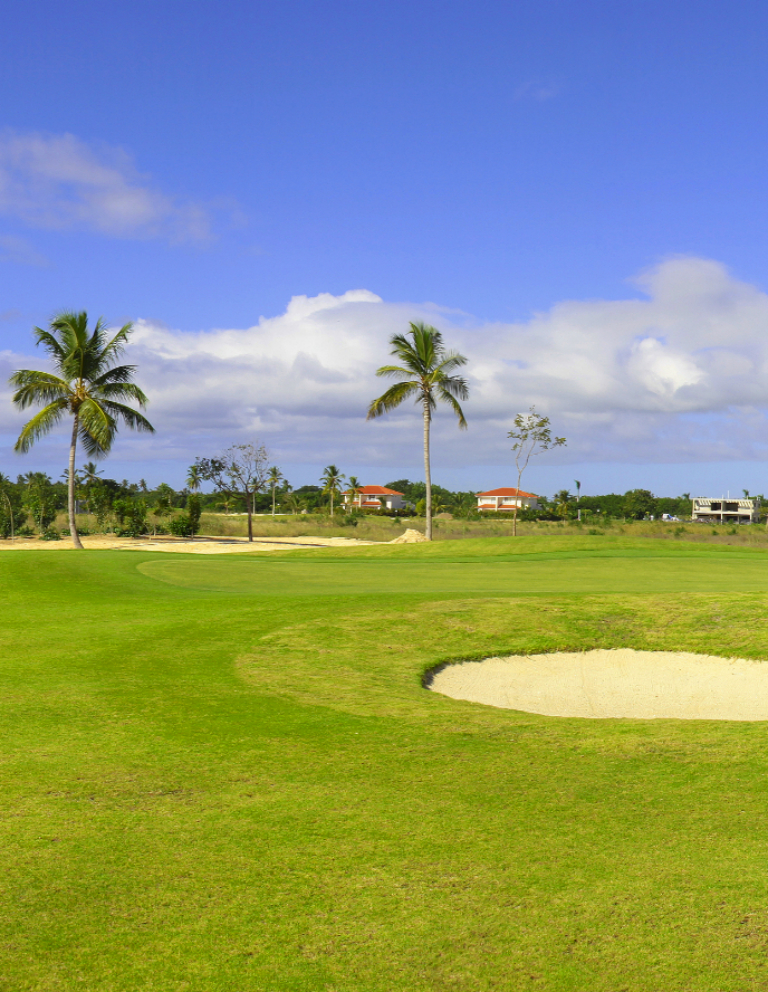 Hole 8 - 9 hole course in Riviera Maya Golf Club