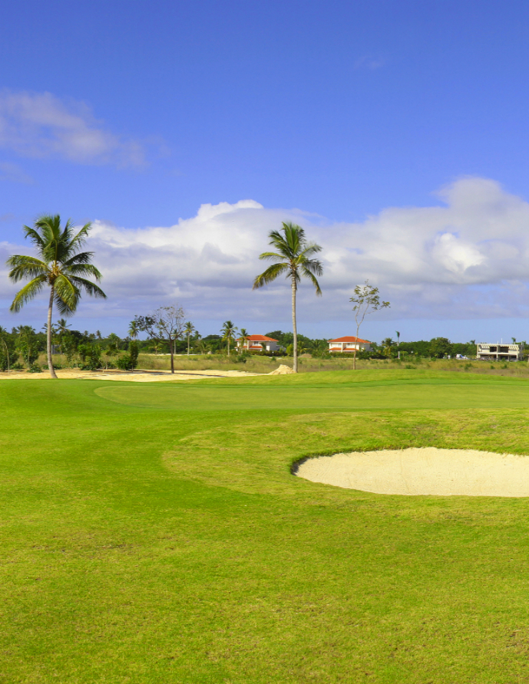 Imágenes del hoyo 8 para el campo de 9 hoyos de Golf La Romana