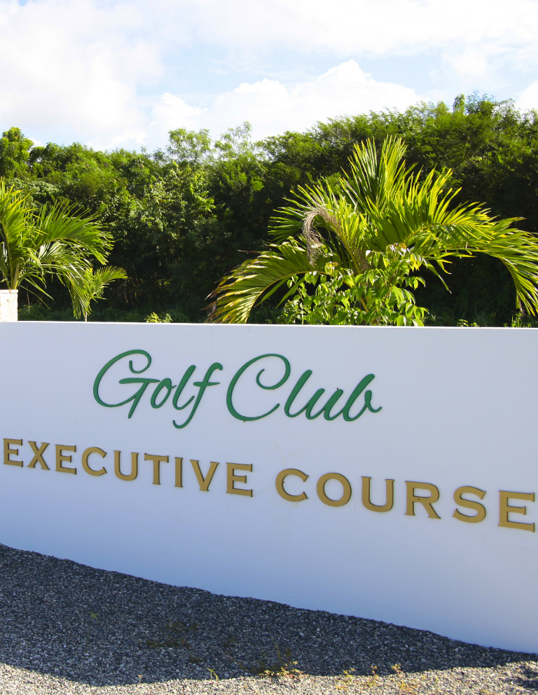 Hole 9 - 9 hole course in Riviera Maya Golf Club